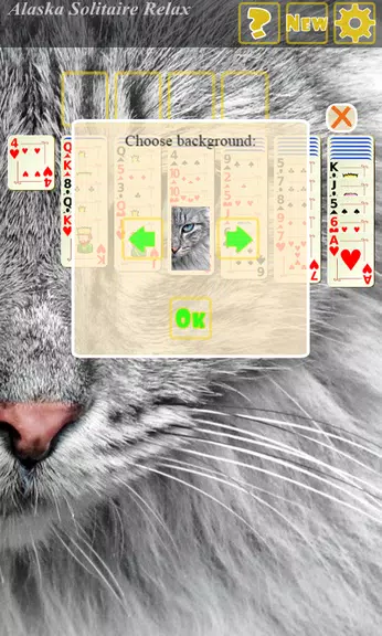 Alaska Solitaire Relax Alaska Solitaire Relax